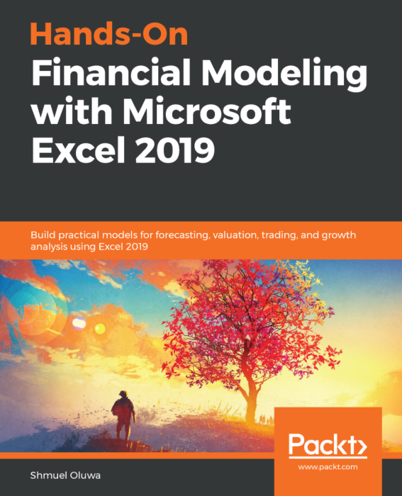 Hands-On Financial Modeling with Microsoft Excel 2019